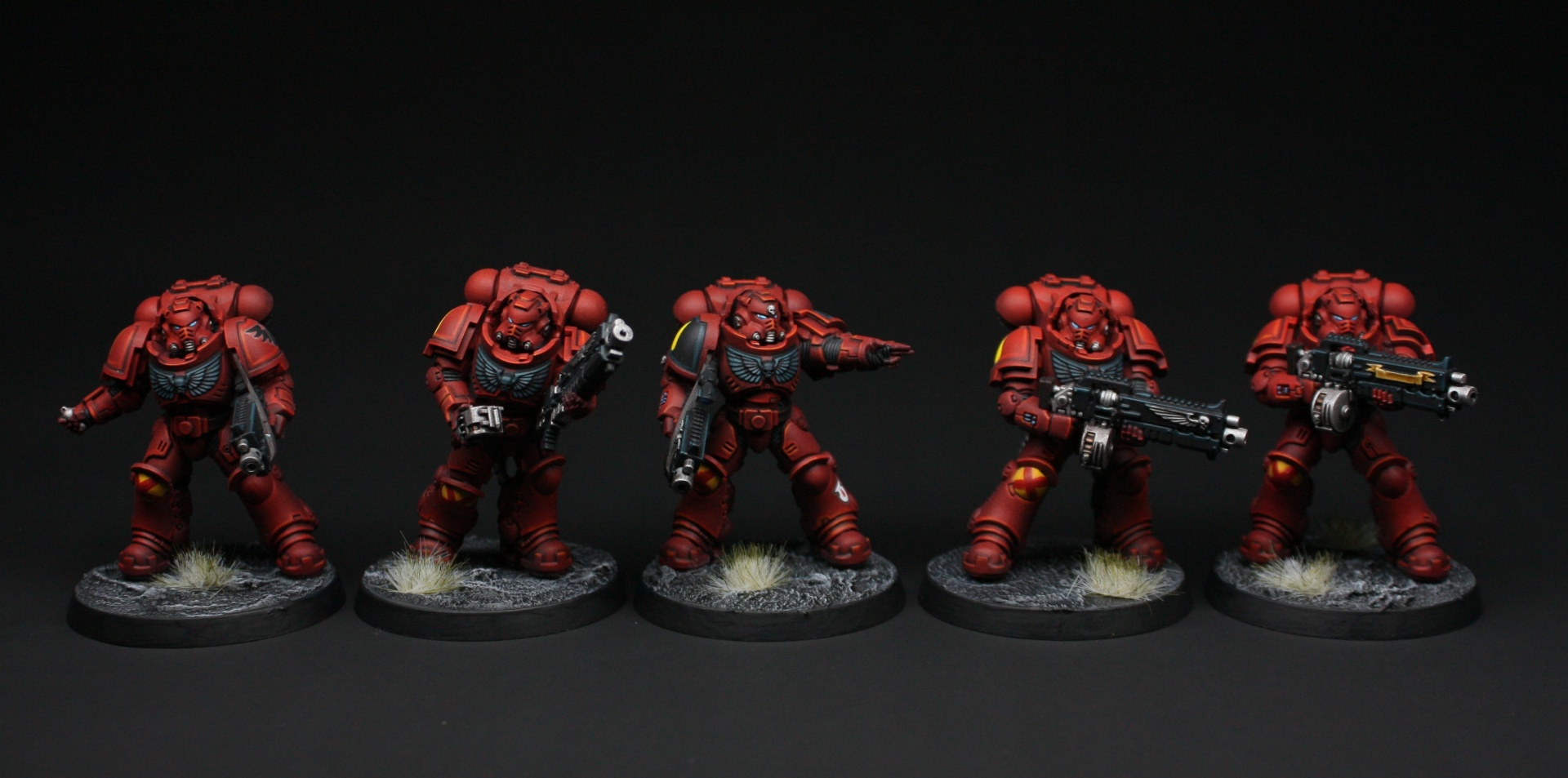 Five Blood Angels Heavy Intercessors in line formation