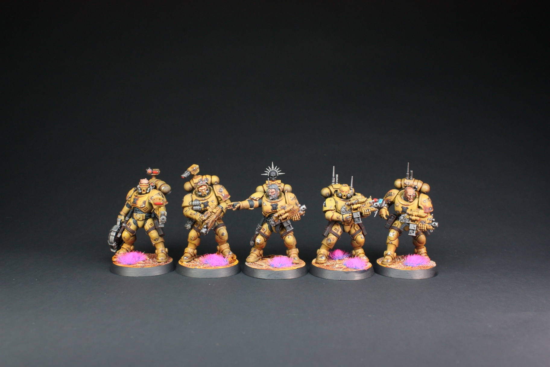 Imperial Fists intercessors squad